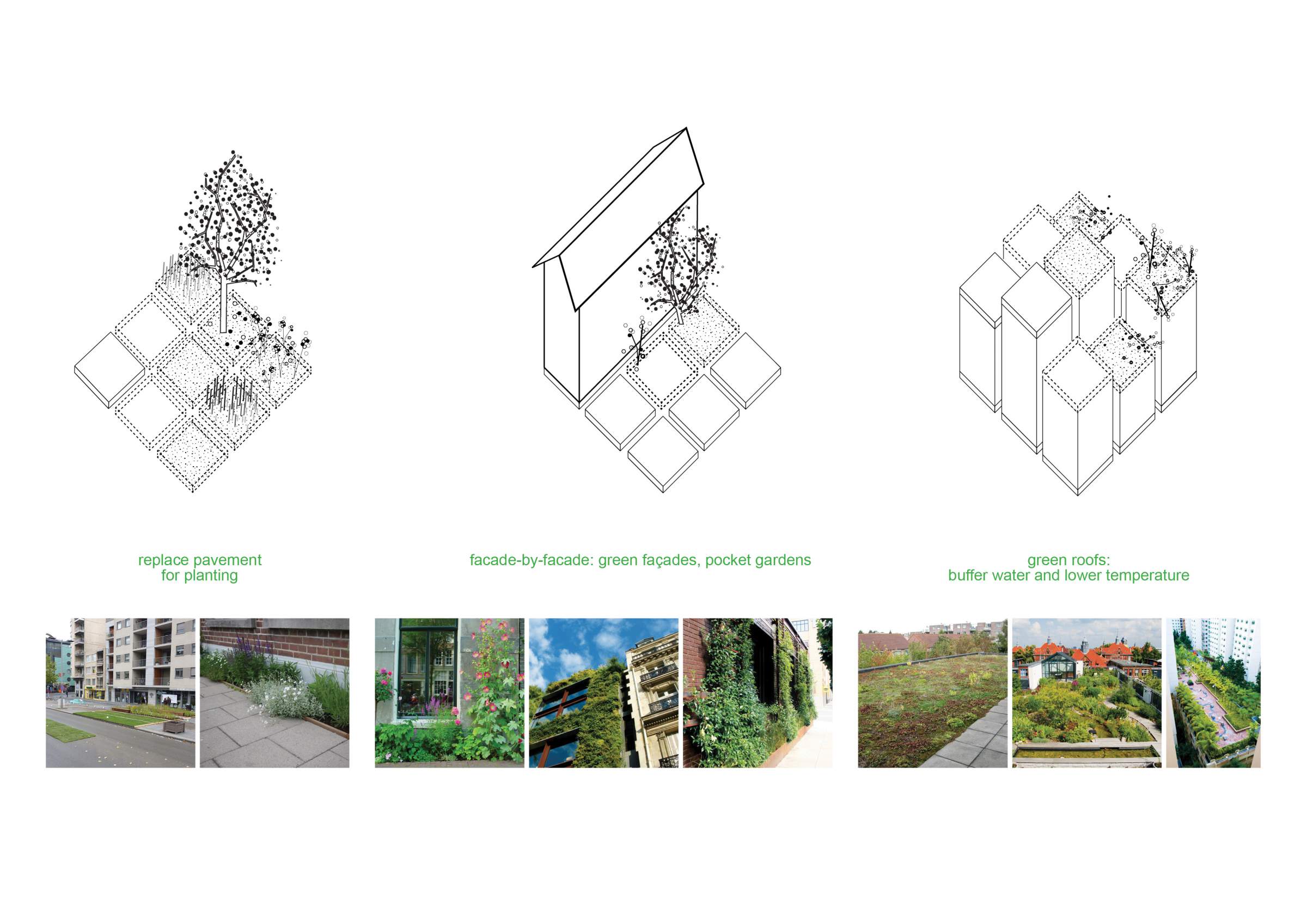 LANDLAB and WUR for AMS - adapation strategy green