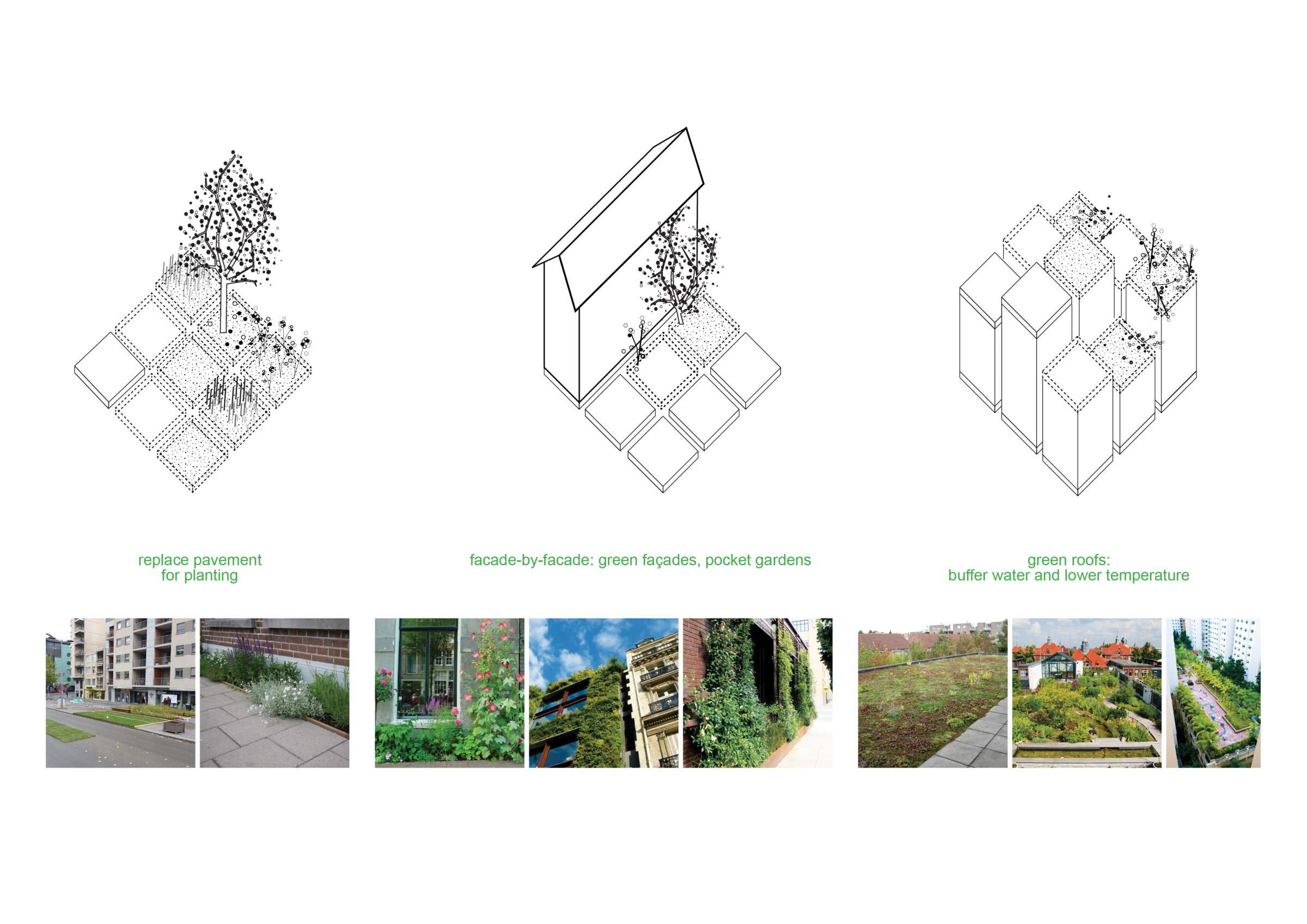 LANDLAB and WUR for AMS - adapation strategy green