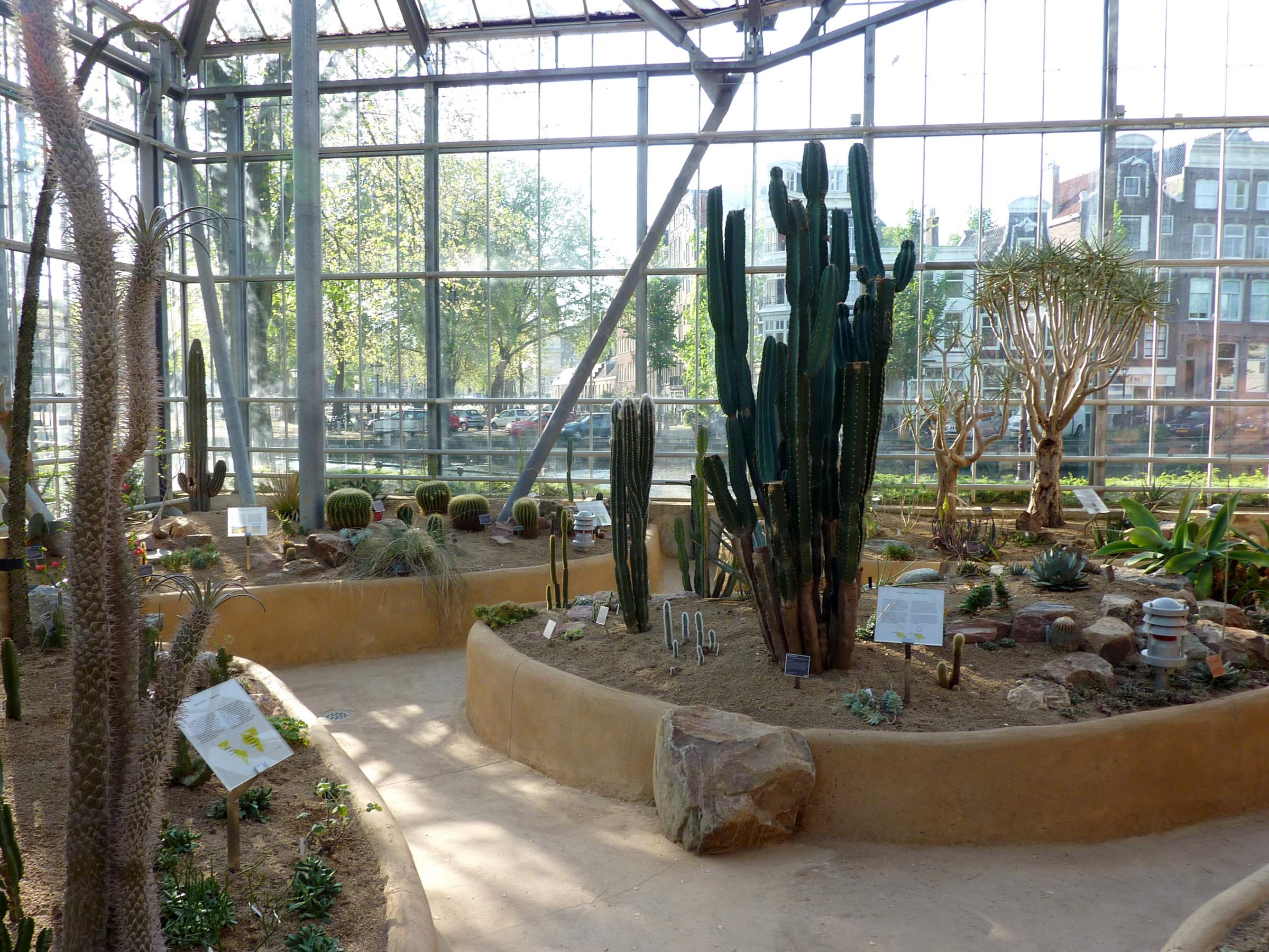 LANDLAB Hortus Botanicus Amsterdam Desert Green House_the opening paths