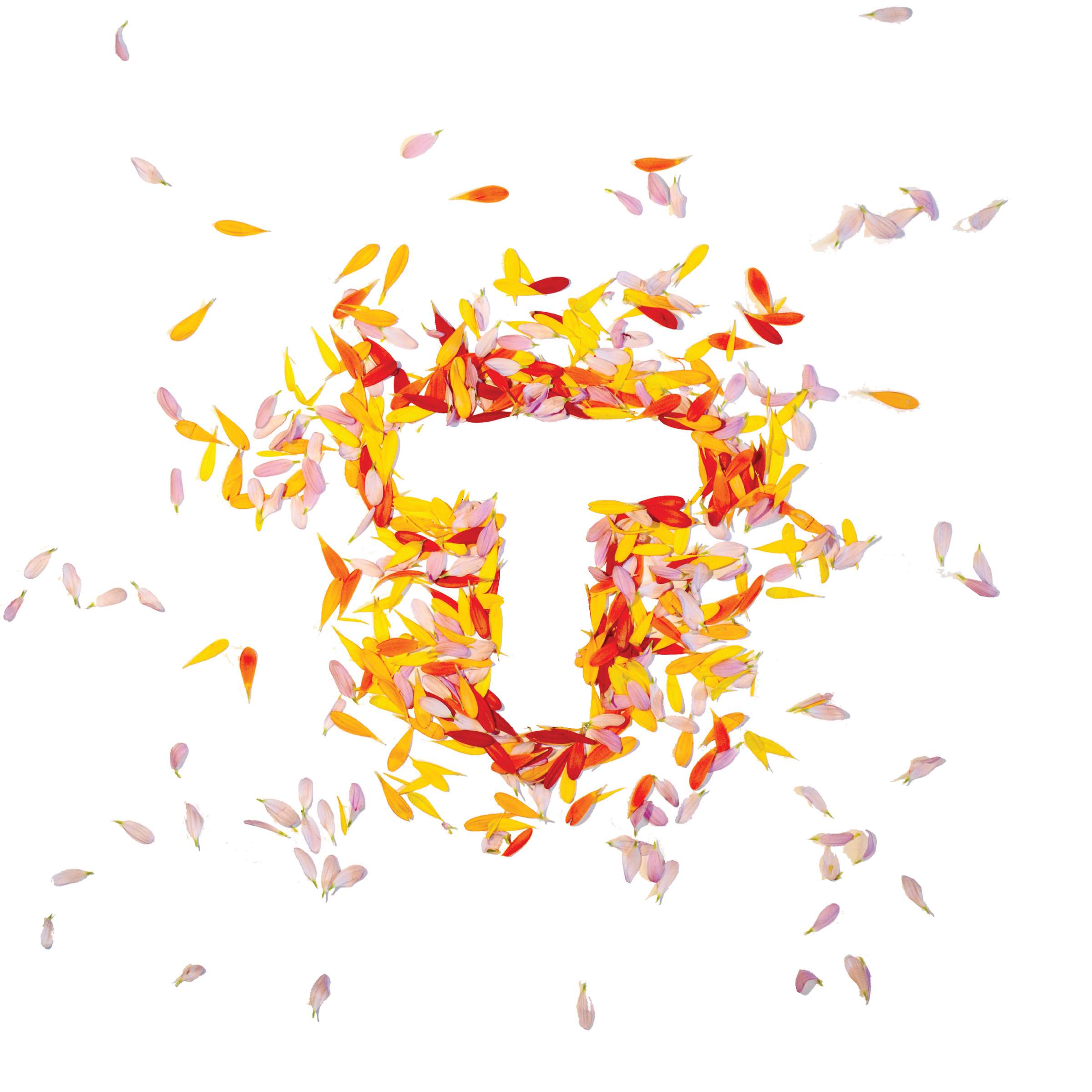 LANDLAB Tuin Idee 2017 logo