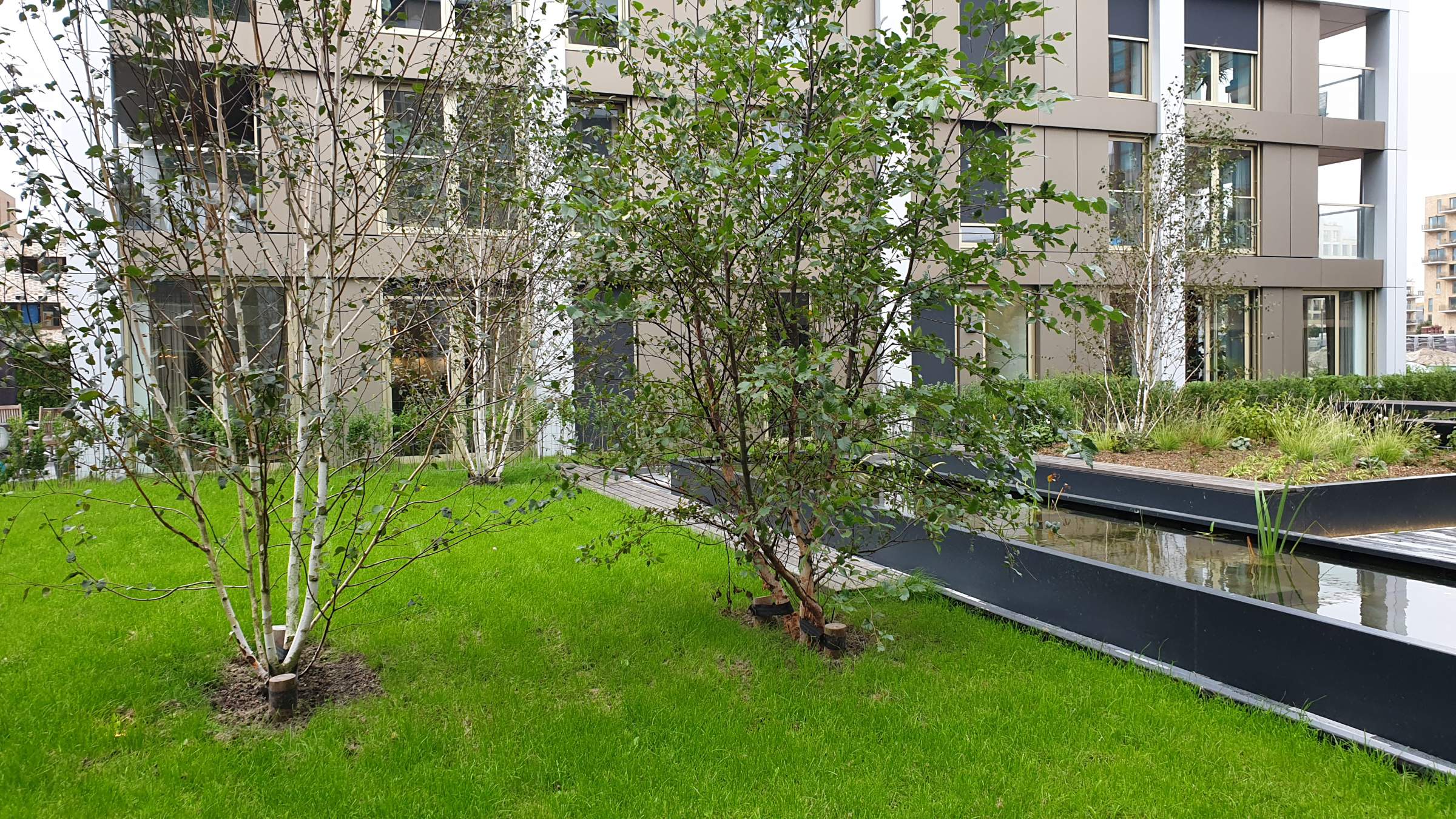 Beacons Roof Garden