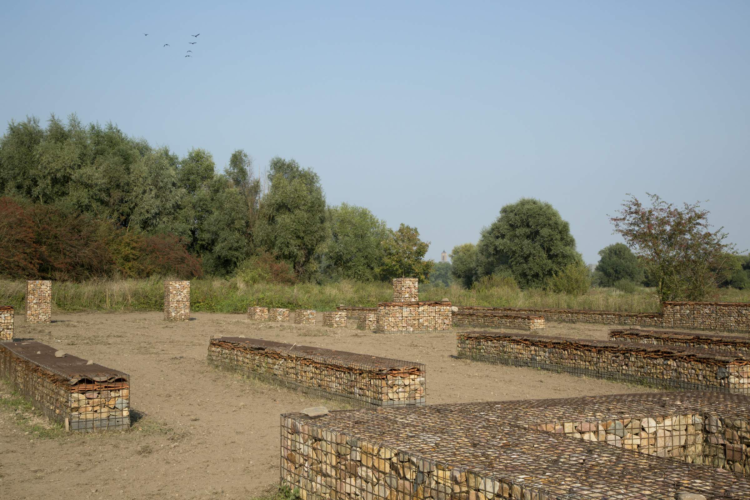 LANDLAB-Castellum Meinerswijk (12)