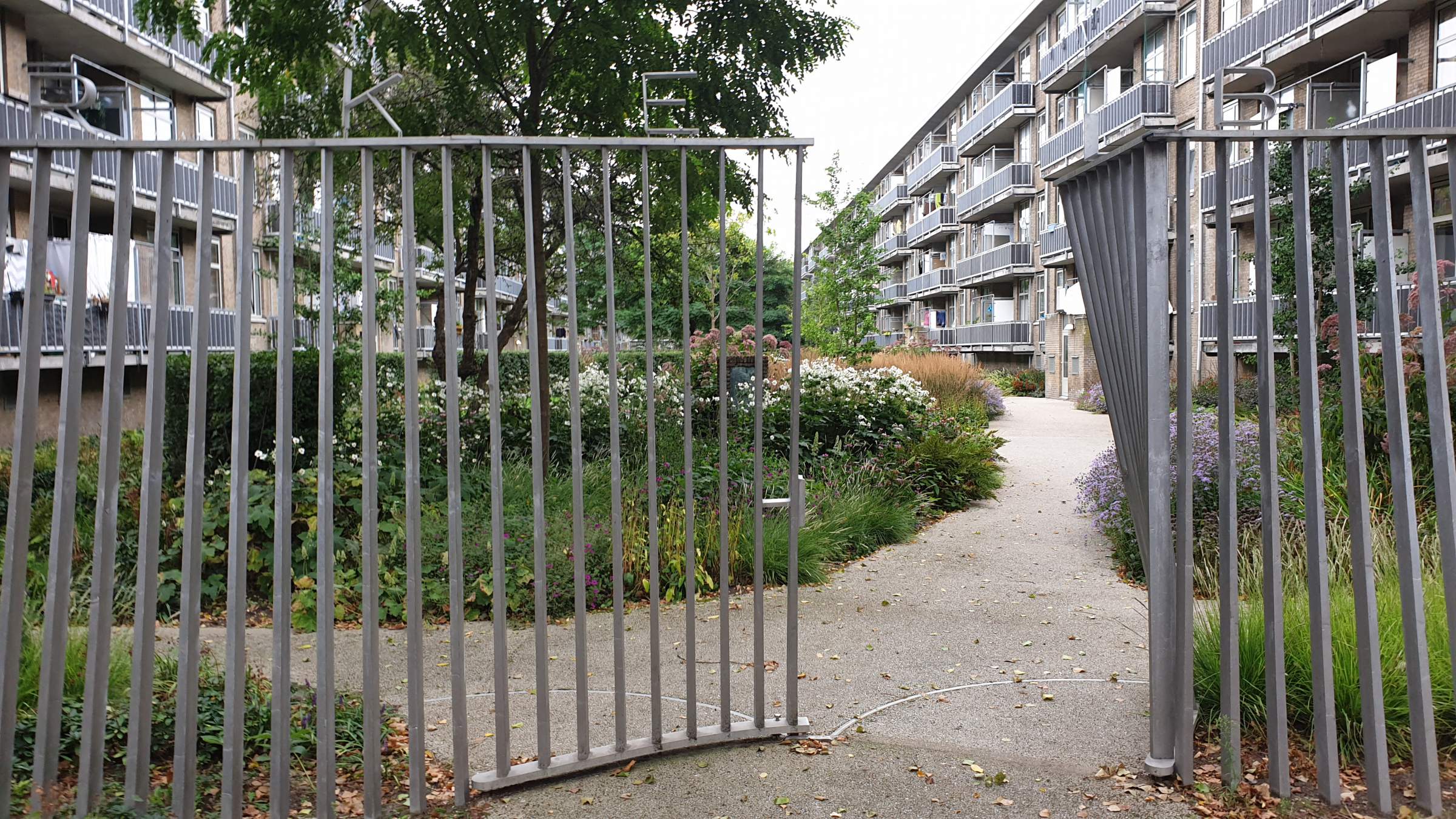 Merkelbach - fence