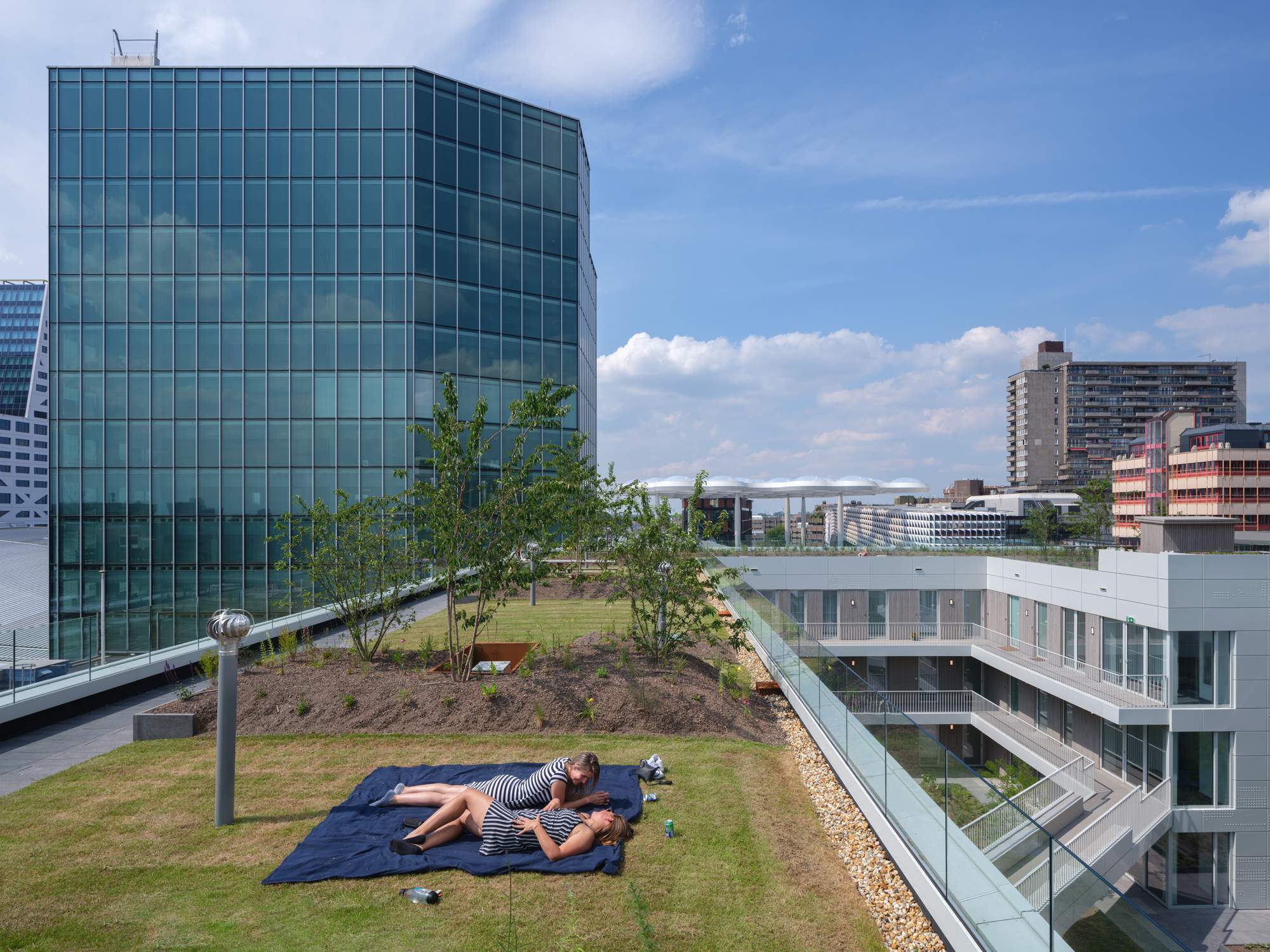 Platform Ossip Roof Garden