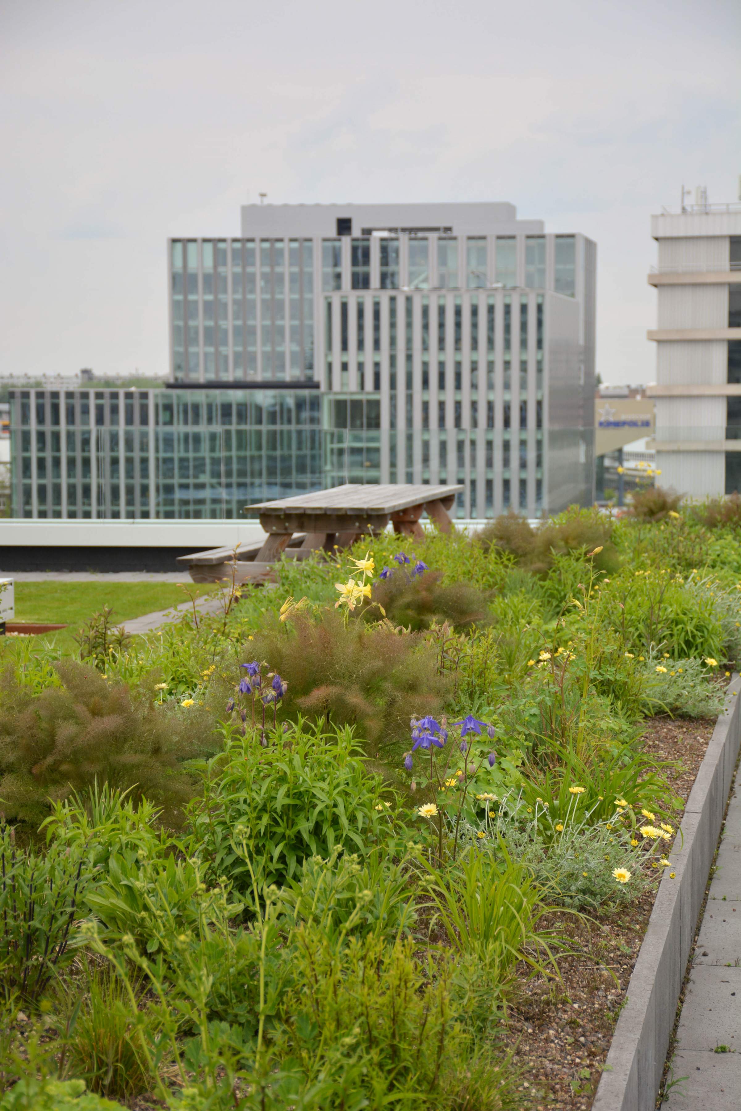 Platform LANDLAB Roof Garden