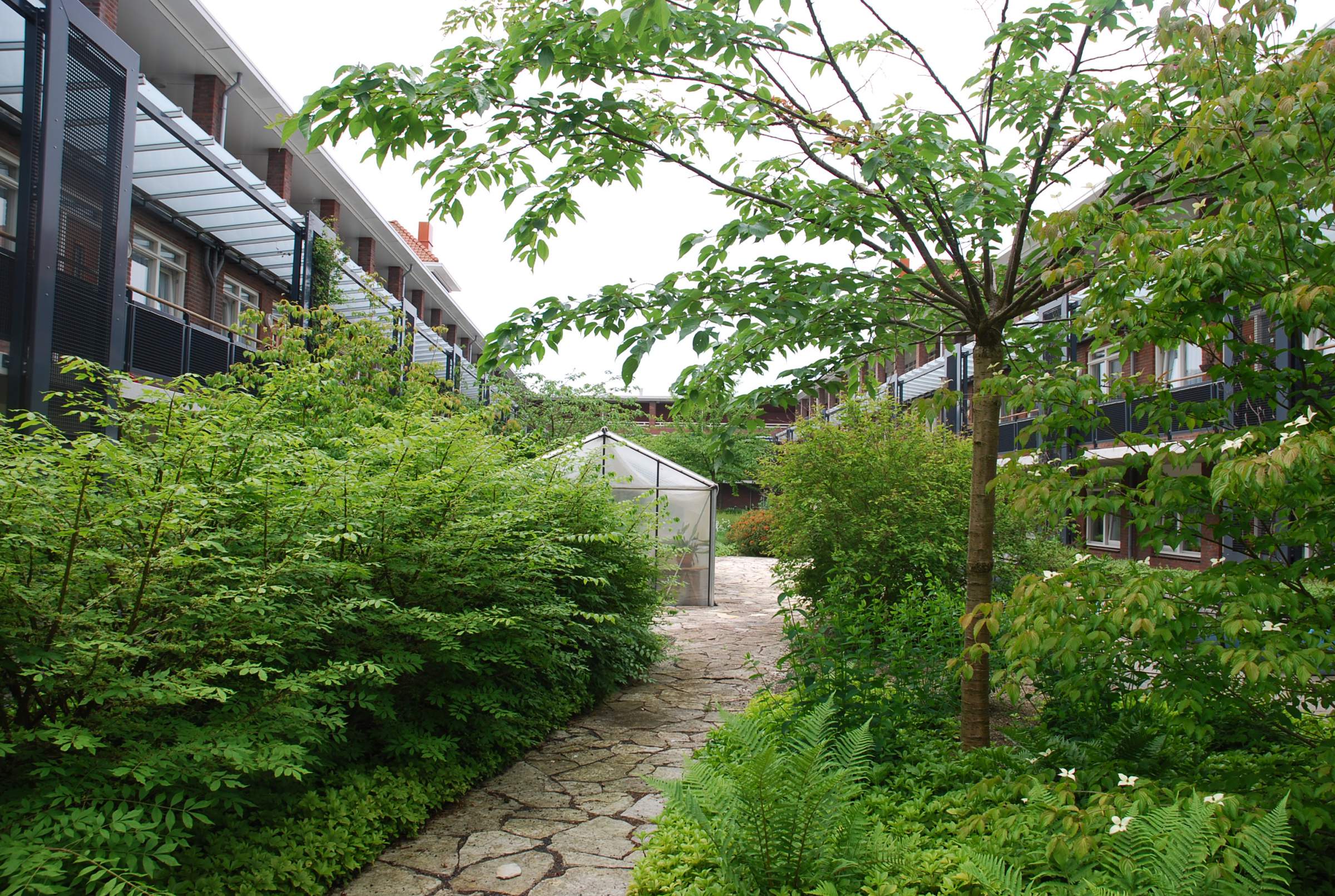 Zuiderkroon Roofgarden Kim Kogelman photo