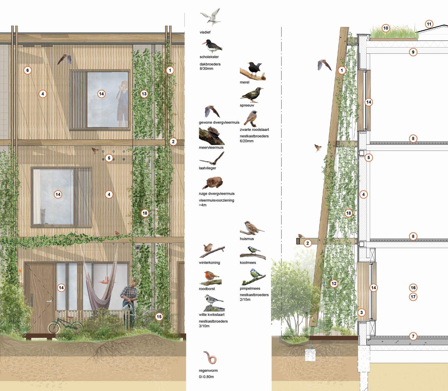 Natuurinclusief_bouwen_Strandeiland_LANDLAB