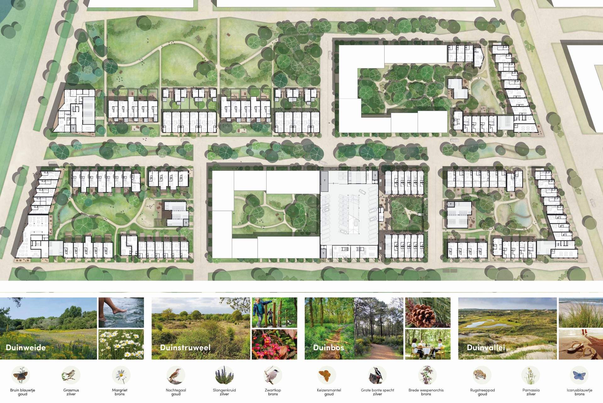 Masterplan_Strandeiland_LANDLAB