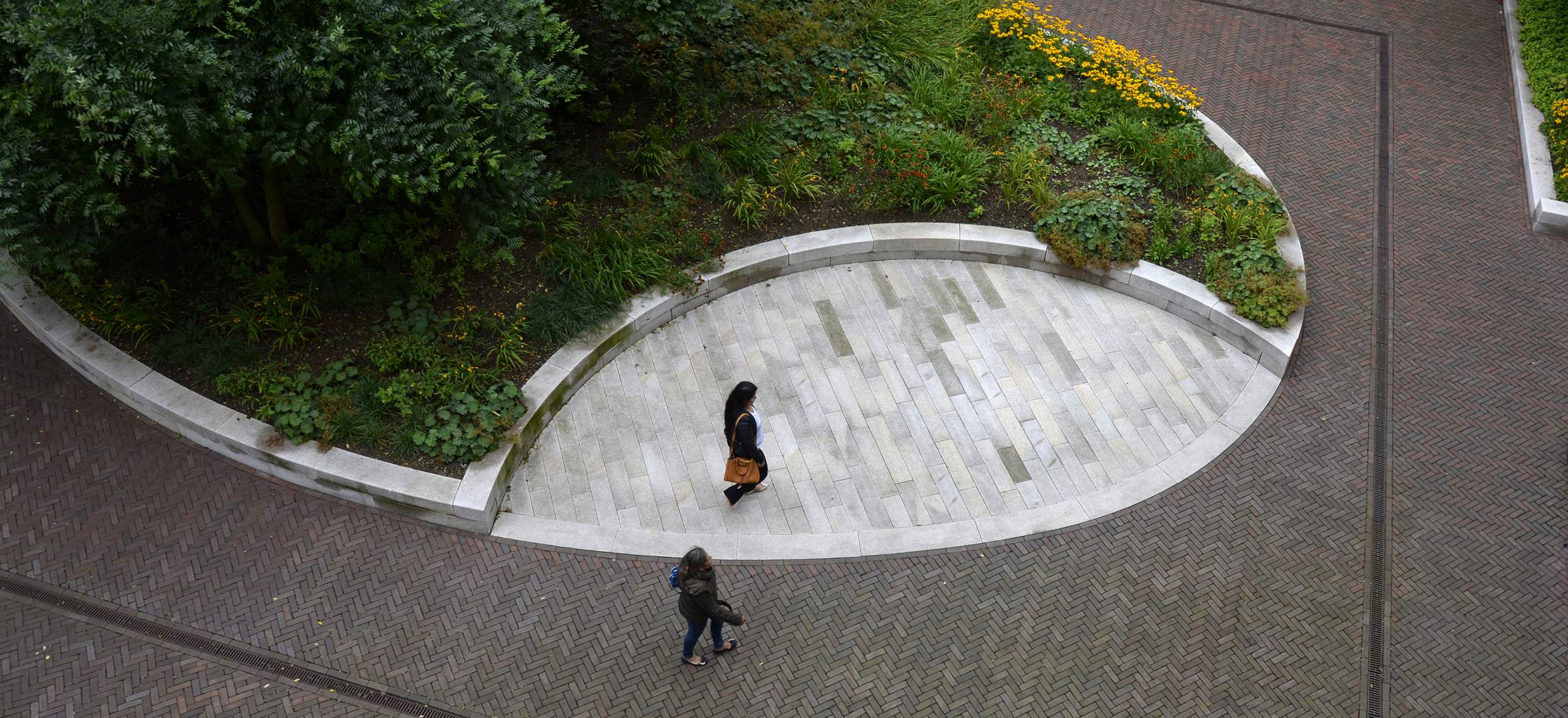 LANDLAB OEVERHOEK courtyard garden yellow from above_photo by Jeroen Bosch