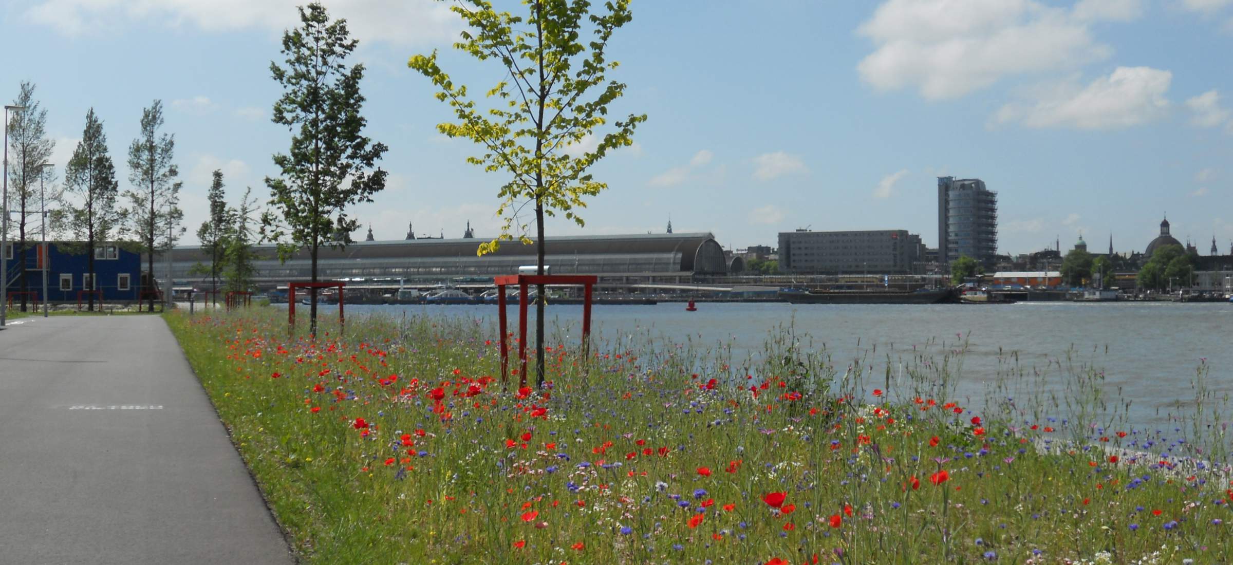 LANDLAB-OEVERPARK-flower ij edge