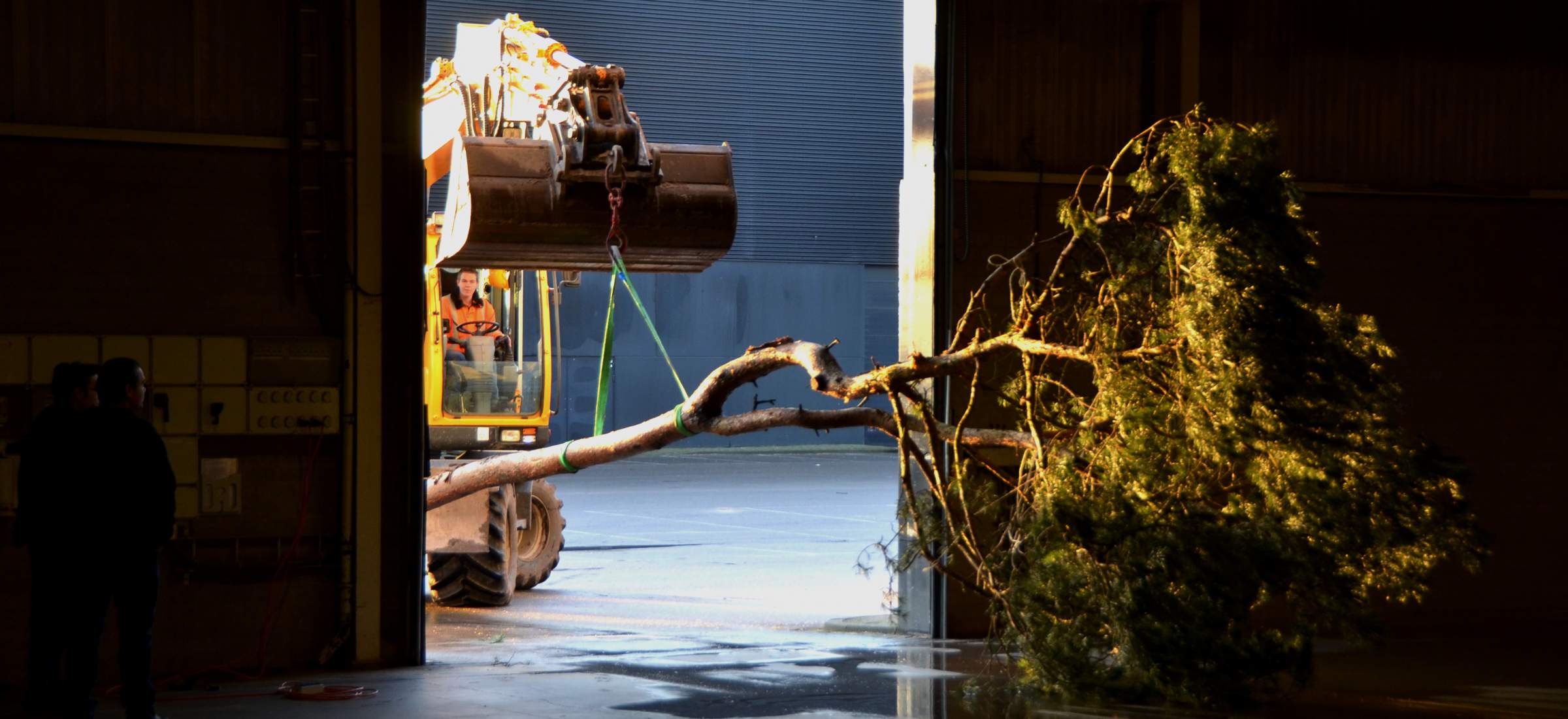 LANDLAB plants Big Trees at TuinIdee 2014.jpg