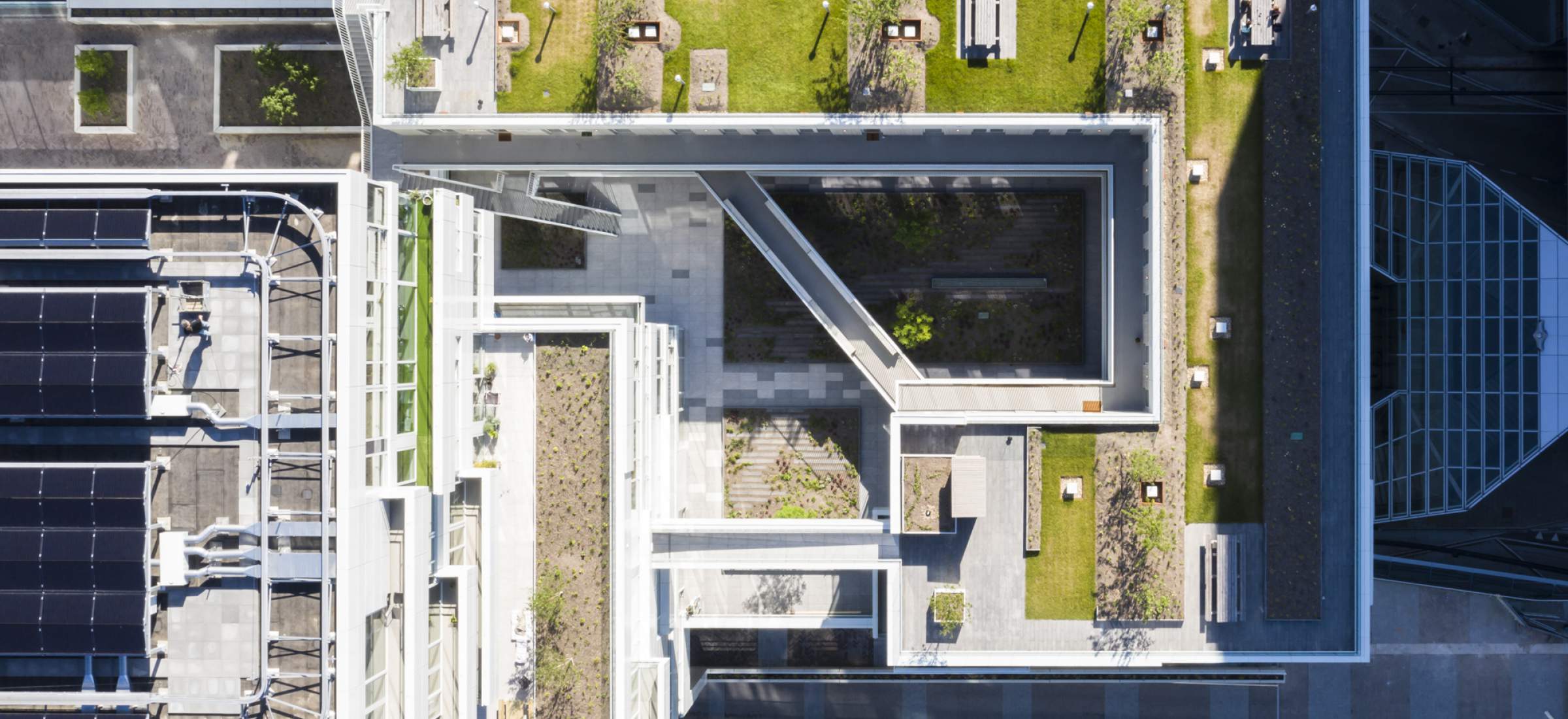 Platform Ossip Roof Garden